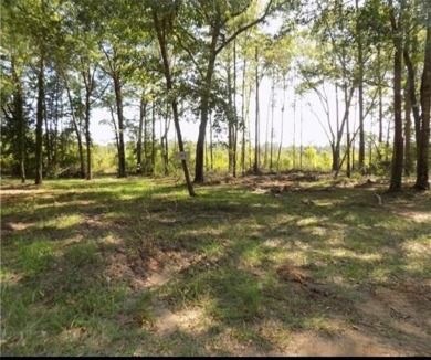 Lake Lot For Sale in Chatham, Louisiana