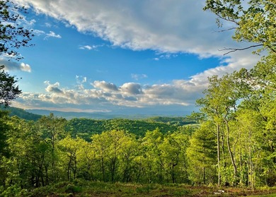 This remarkable UNRESTRICTED property spans over 17 acres in - photo 3