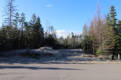 Beautiful lot in the desirable Kootenai Woods neighborhood near - photo 14