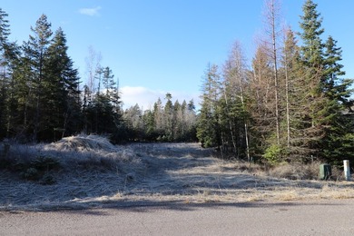 Beautiful lot in the desirable Kootenai Woods neighborhood near - photo 15