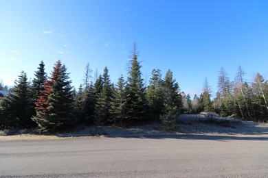 Beautiful lot in the desirable Kootenai Woods neighborhood near - photo 16