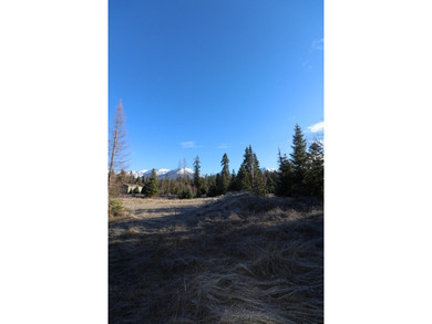 Beautiful lot in the desirable Kootenai Woods neighborhood near - photo 17