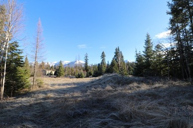 Beautiful lot in the desirable Kootenai Woods neighborhood near - photo 18