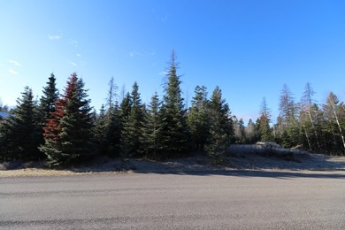 Beautiful lot in the desirable Kootenai Woods neighborhood near - photo 19