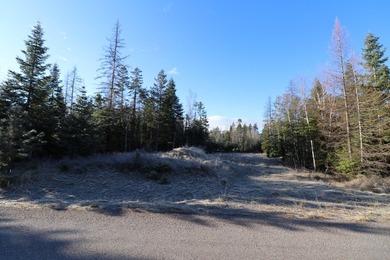 Beautiful lot in the desirable Kootenai Woods neighborhood near - photo 20