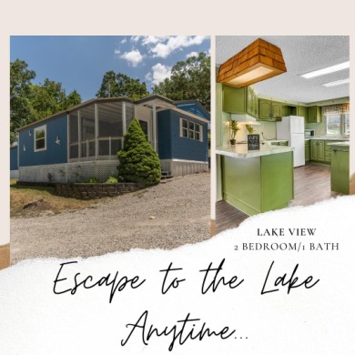 Table Rock Lake Home Sale Pending in Blue Eye Missouri