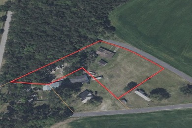 Welcome to 1142 Pearson Road in Manning-where modern updates - photo 32