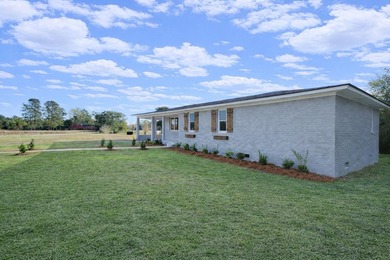 Welcome to 1142 Pearson Road in Manning-where modern updates - photo 38