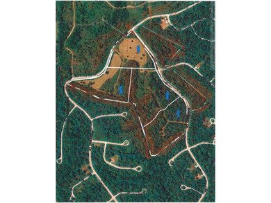 Lake Loch Lomond Acreage For Sale in Bella Vista Arkansas