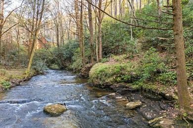 (private lake, pond, coastal) Home For Sale in Blue Ridge Georgia