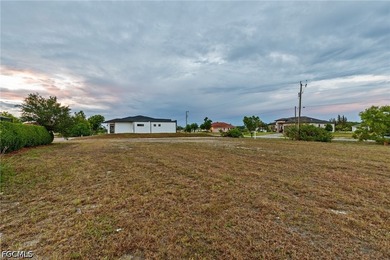 LAND FOR SALE IN PARADISE Build your dream home or invest in one - photo 5