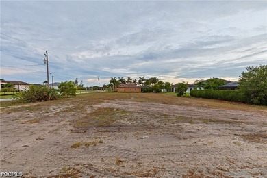 LAND FOR SALE IN PARADISE Build your dream home or invest in one - photo 6