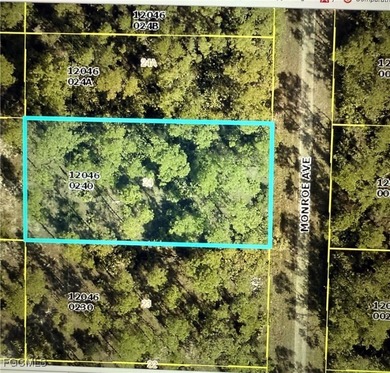 Lehigh Acres Area Lot For Sale in Lehigh Acres Florida