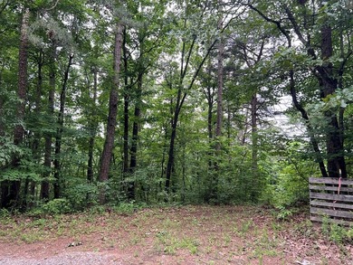 Carters Lake Acreage Active Under Contract in Ellijay Georgia