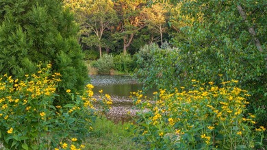 Set on more than 30 acres along Cape Cod Bay, Sunset Farm is a - photo 11