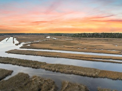 Perched on the premier homesite in the Peninsula at Poplar Grove - photo 12