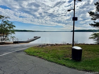 10 Acres right at the lake and The Ivy Hill Boat Ramp on Kerr - photo 12