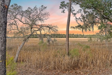 Perched on the premier homesite in the Peninsula at Poplar Grove - photo 15