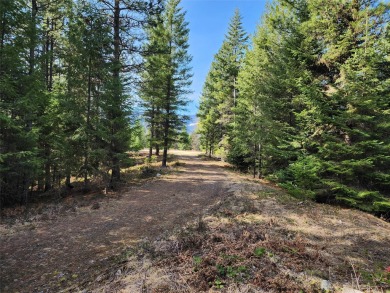 Lake Acreage For Sale in Troy, Montana