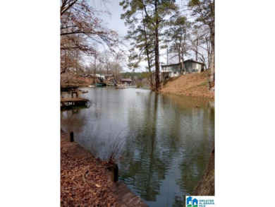 Lake Acreage For Sale in Bessemer, Alabama