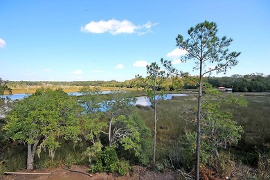 Perched on the premier homesite in the Peninsula at Poplar Grove - photo 41