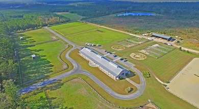 Perched on the premier homesite in the Peninsula at Poplar Grove - photo 55