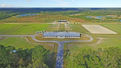 Perched on the premier homesite in the Peninsula at Poplar Grove - photo 60