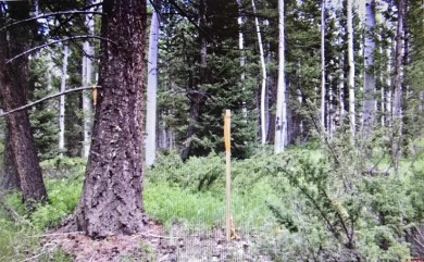 (private lake, pond, creek) Lot For Sale in Cimarron Colorado