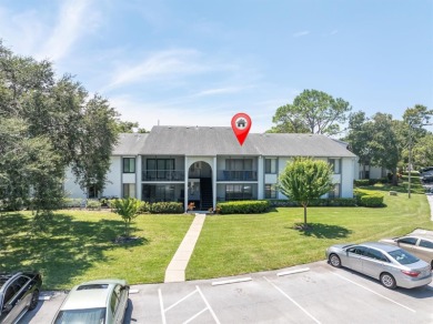 Lake Condo For Sale in Tarpon Springs, Florida