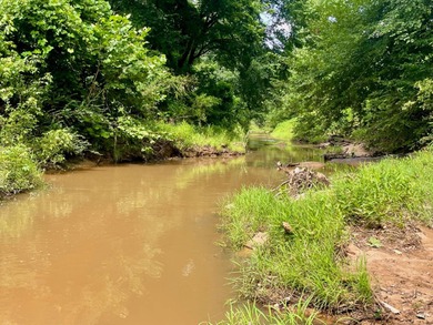 (private lake, pond, coastal) Acreage For Sale in Grenada Mississippi