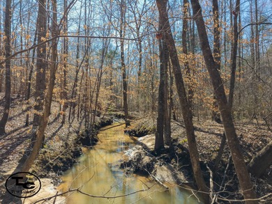 Lake Acreage For Sale in Henderson, Tennessee