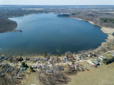 Lake Home For Sale in Crystal, Michigan