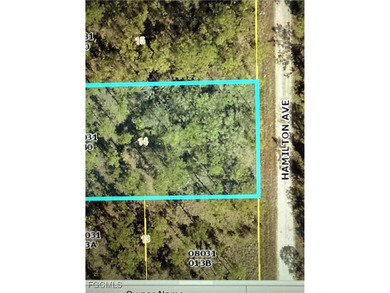 Lehigh Acres Area Lot For Sale in Lehigh Acres Florida