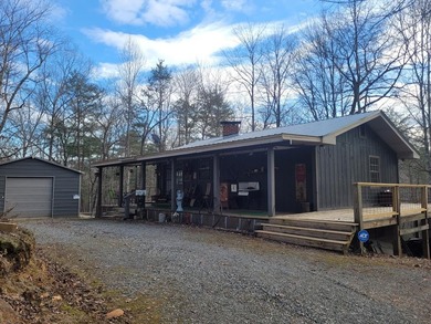 Cherry Log Lake Home For Sale in Blue Ridge Georgia