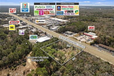 Positioned directly on US Hwy 19/98 in the heart of Homosassa - photo 11