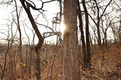Only seconds from the Illinois River, this approximately 740 - photo 5