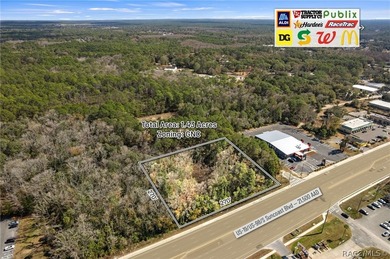 Positioned directly on US Hwy 19/98 in the heart of Homosassa - photo 15