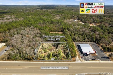 Positioned directly on US Hwy 19/98 in the heart of Homosassa - photo 16