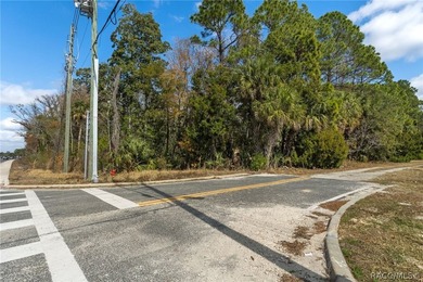 Positioned directly on US Hwy 19/98 in the heart of Homosassa - photo 17