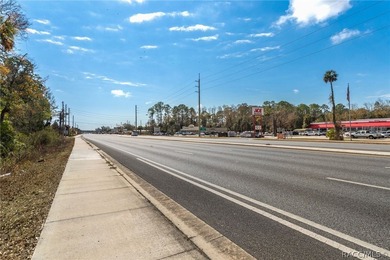 Positioned directly on US Hwy 19/98 in the heart of Homosassa - photo 20