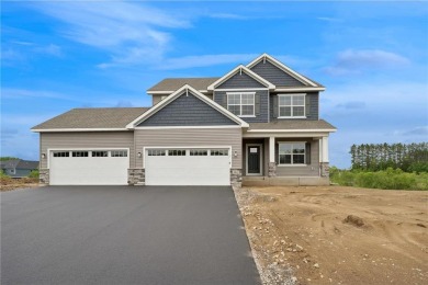 Lake Home For Sale in Big Lake, Minnesota