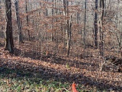 Cave Run Lake Lot For Sale in Salt Lick Kentucky