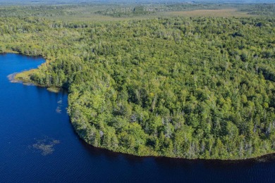  Acreage For Sale in Mayflower 