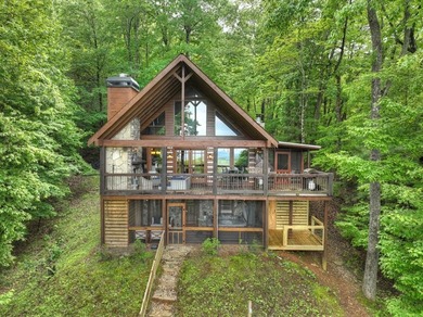 Lake Blue Ridge Home For Sale in Blue Ridge Georgia