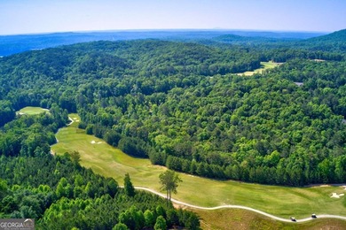 Amazing lot in Lake Arrowhead on Lakewood across from the Lake - photo 11