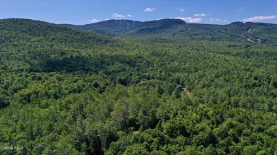 (private lake, pond, creek) Lot For Sale in North Creek New York