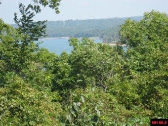 Lake Acreage Off Market in Clarkridge, Arkansas