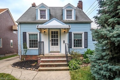 Welcome to this charming Cape Cod with Lake Erie access - photo 1