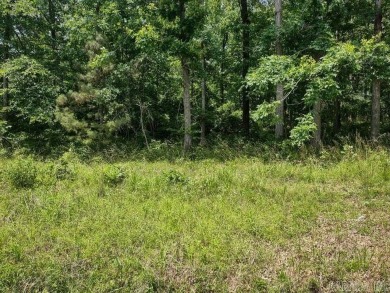 Lake Catherine Lot For Sale in Hot Springs Arkansas