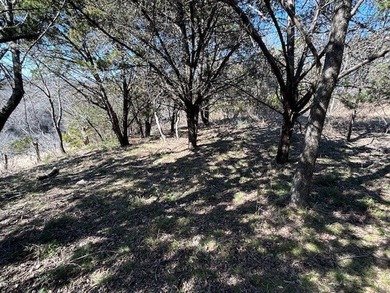 Great Lot with distant water view, partially cleared, backs up - photo 2